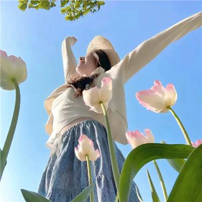 横冲直撞好莱坞